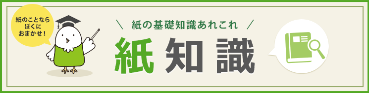 紙の基礎知識あれこれ　紙知識