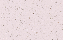 小豆ページ 小豆殻CоC｜商品詳細｜商品情報｜ファンシーペーパーの平和紙